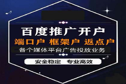 百度竞价广告案例分析：成功之道揭秘
